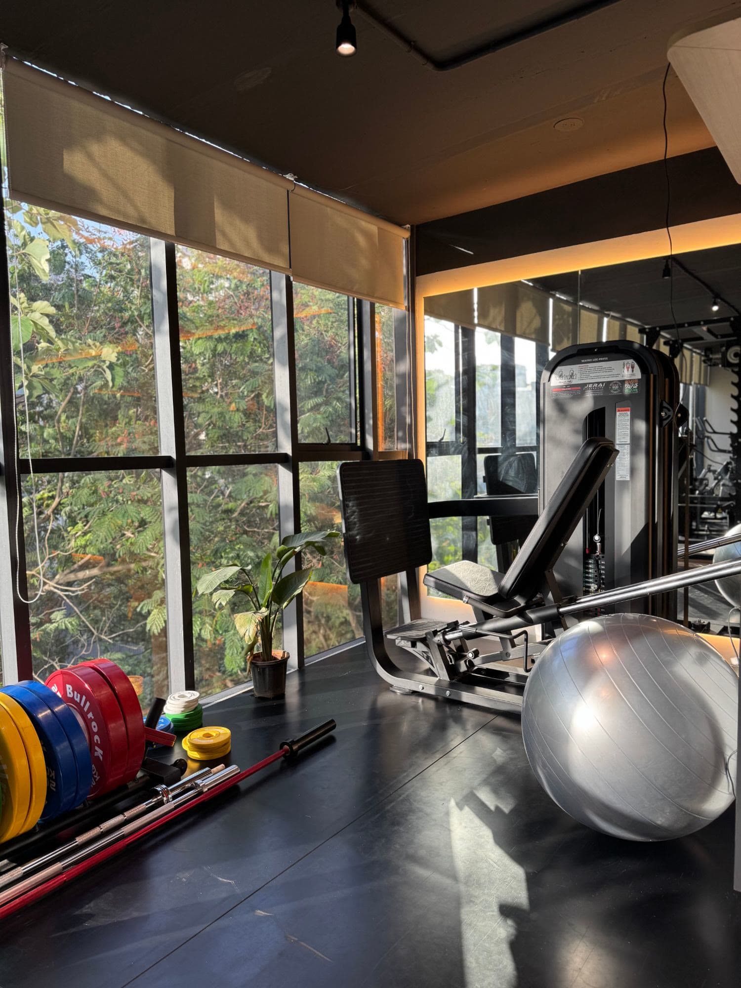 A sunlit corner of the studio with floor-to-ceiling windows onto trees, a leg press, bumper plates and warm strip lighting
